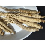 Panax Ginseng Root Supplier - Agriculture Product