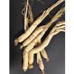 Raw Ginseng Supplier - Hot Selling Herbal