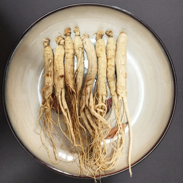 Panax Ginseng Supplier - Hot Selling Herbal