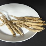 Organic Dried Cranberry Supplier - Sweet Taste Natural