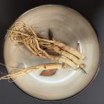 Premium Ginseng Roots Supplier - Healthy Life Start