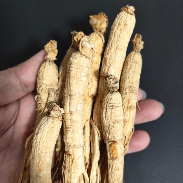 Ginseng Roots Manufacturer - Jilin Source Health