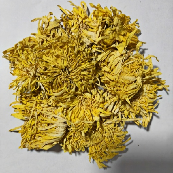 Golden Chrysanthemum Tea Factory - Herbal Agriculture