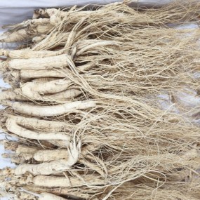 Dry Ginseng Factory - Excellent Price Bitter