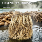 Panax Ginseng Supplier - Hot Selling Herbal