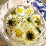 Ginseng Juice Supplier - Solvent Extracted Healthy