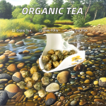 Fresh Ginseng Root Manufacturer - Quality Assurance