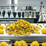 Food Grade Ginseng Factory - Wholesale Fresh Raw