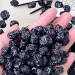 Dried Blueberries Factory - Bulk Vacuum Pack