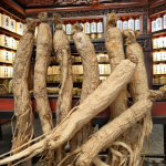 Dried Blueberries Factory - Bulk AD Process