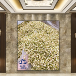 Ginseng Root Supplier - Men Health Bulk Box