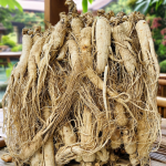 Panax Ginseng Supplier - Hot Selling Herbal