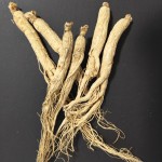 Panax Ginseng Root Supplier - 6 Years Old