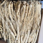 Organic Pine Nuts Manufacturer - Healthy Economical