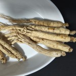 Organic Dried Cranberry Supplier - Sweet Taste Natural