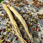 Chinese Peanuts Factory - High Quality Agriculture