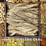 Chinese Peanuts Factory - High Quality Agriculture