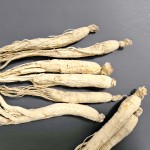 White Ginseng Root Factory - Wild Plant Sizes