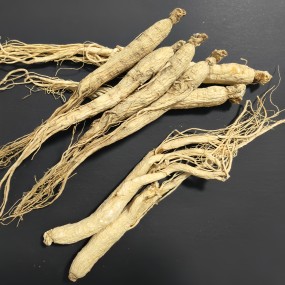 Panax Ginseng Root Factory - 5 Years Old