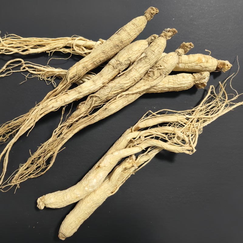 Panax Ginseng Root Factory - 5 Years Old