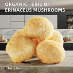 Hericium Erinaceus Mushrooms Supplier - Organic Dried Raw