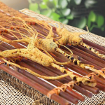 Fresh Ginseng Factory - Hot Selling Dried