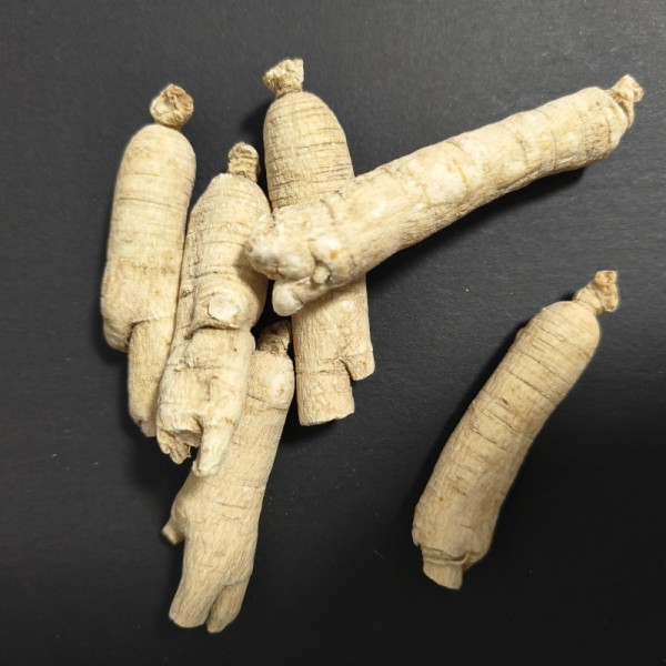 White Ginseng Supplier - Solvent Extracted Food