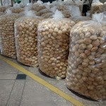 Dried Lion's Mane Mushrooms Factory - Cultivated Raw