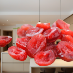 Freeze Dried Cranberries Supplier - Organic Whole Berries