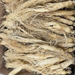 Dried Mango Exporter - Sweet Bagged Packaging