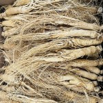 Dried Blueberries Factory - Bulk AD Process