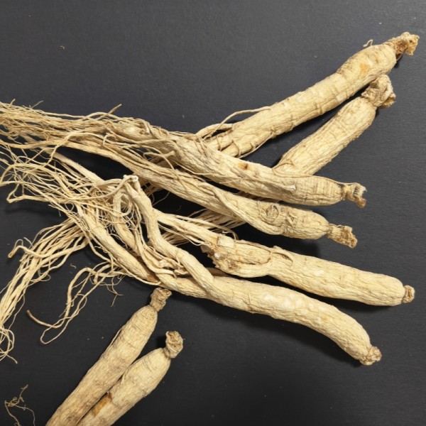 Dried Ginseng Root Factory - Premium 6 Years