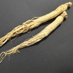 Panax Ginseng Root Supplier - Agriculture Product