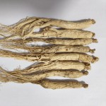 Fruit Teas Factory - Wholesale Healthy Refreshing