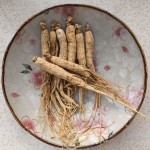 Dried Ginseng Manufacturer - Northeast Origin