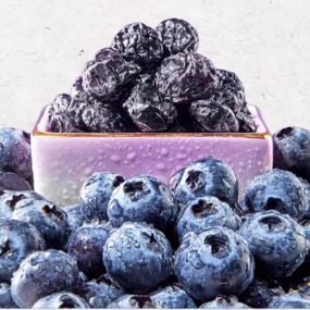 Dried Blueberries Supplier - Fresh Delicious Snack