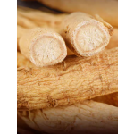 White Ginseng Root Manufacturer - Organic Top Grade