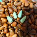 Passion Fruit Tea Cubes Factory - Mini Freeze Dried