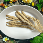 Whole Cranberries Supplier - Bulk Natural Preservation