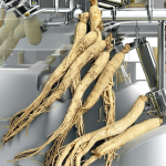 Fruit Teas Factory - Wholesale Healthy Refreshing