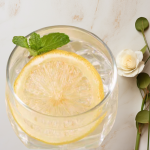 Freeze Dried Lemon Slices Supplier - Organic Bulk Packaging