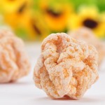 Dried Plum Cherry Manufacturer - Organic Preserved Fruit