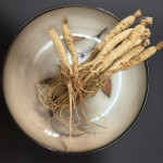 Premium Ginseng Roots Supplier - Healthy Life Start