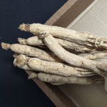 Dried Ginseng Root Manufacturer - 6 Year Old
