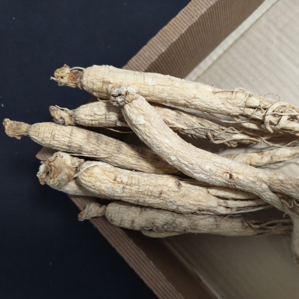 Dried Ginseng Root Manufacturer - 6 Year Old