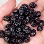 Freeze Dried Passion Fruit Tea Supplier - Bulk Health