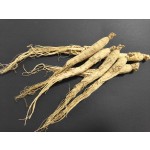 Raw Ginseng Supplier - Hot Selling Herbal