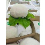 Lion's Mane Mushroom Supplier - Raw Air Dried Cultivated