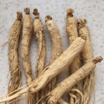 Dried Ginseng Manufacturer - Northeast Origin