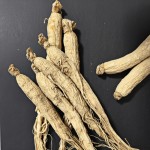 Organic Dried Cranberry Supplier - Sweet Taste Natural